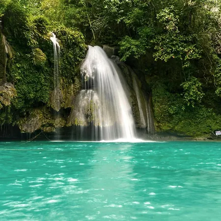 Moalboal Tropics