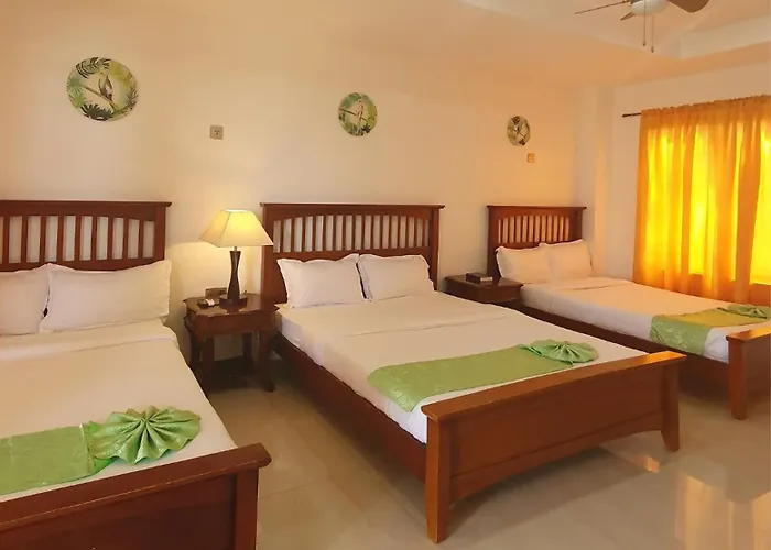 Hotel Tropics 3*